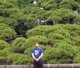 300 Years Pine 300 Years Pine