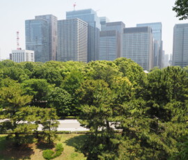 Shinjuku Goen Shinjuku Goen