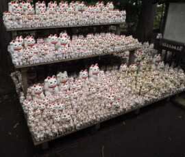 Gotokuji Gotokuji